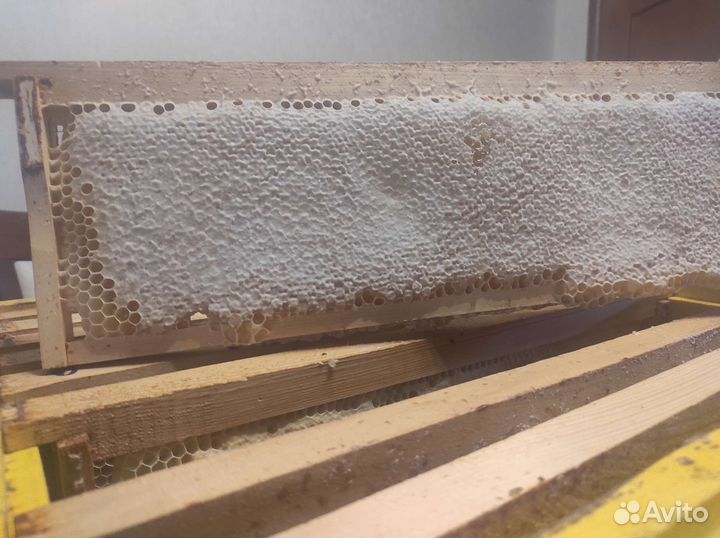 Мед натуральный липовый