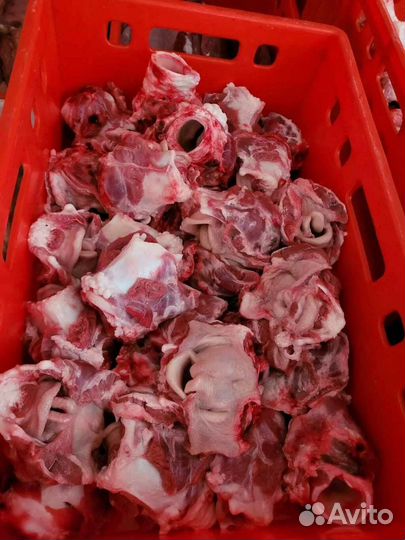 Мясо для собак