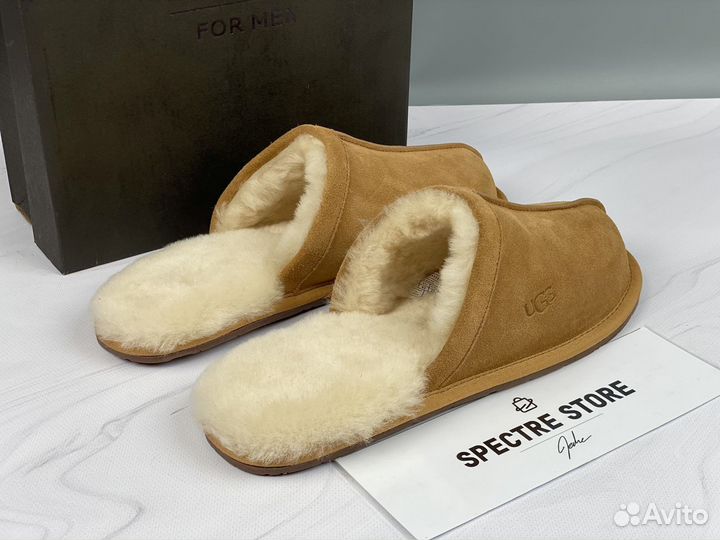 Тапочки мужские UGG