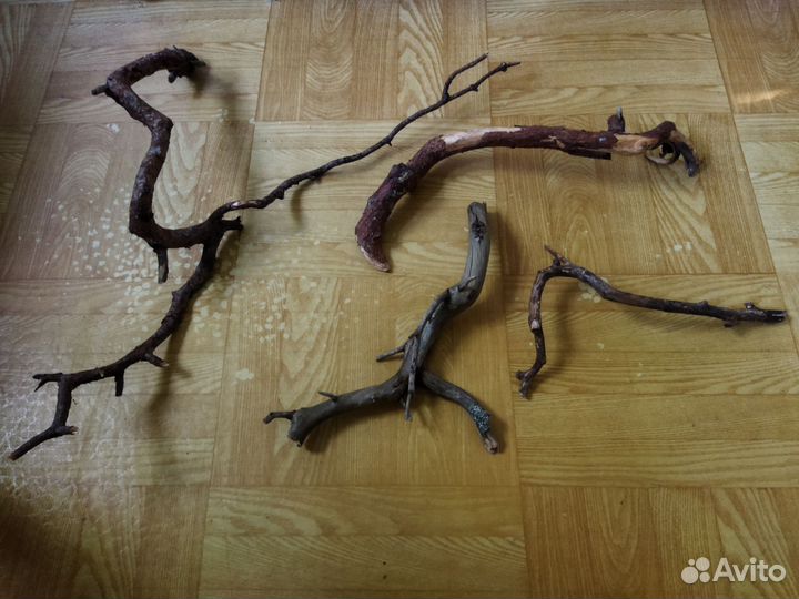 Коряжки для террариума