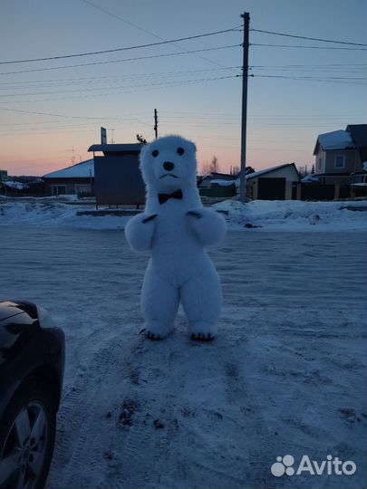 Ростовой костюм белого медведя