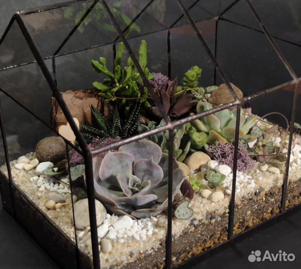 Флорариум/Мини-сад с суккулентами (в наличии)