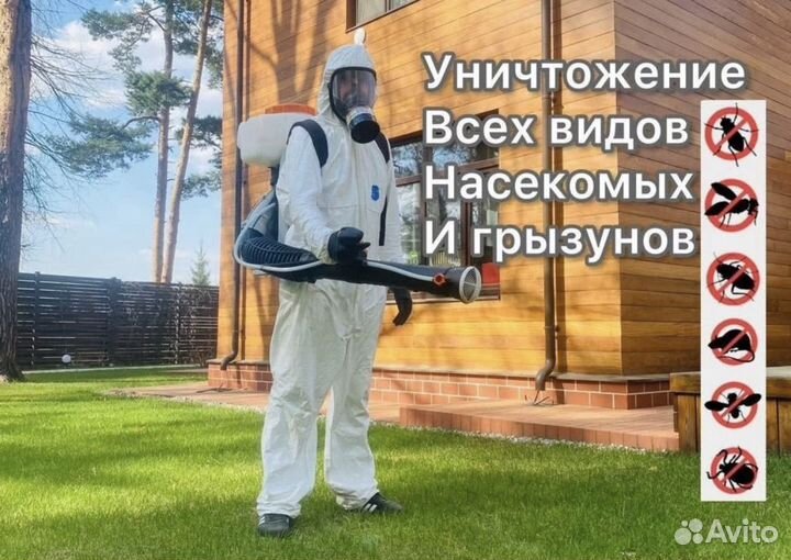 Уничтожение клещей,комаров,муравьев,ос,змей