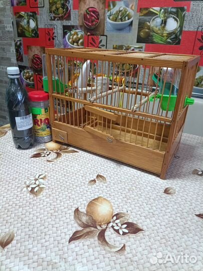 Клетка для кенора