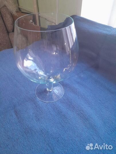 Аквариум бакал