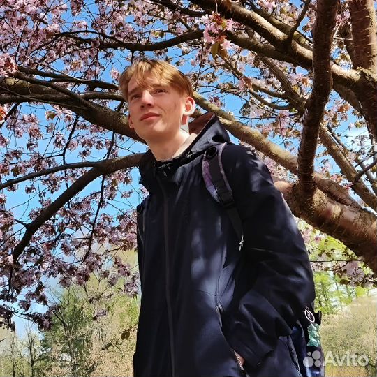 Тренер по шахматам