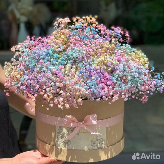 Гипсофила в Коробках. Доставка