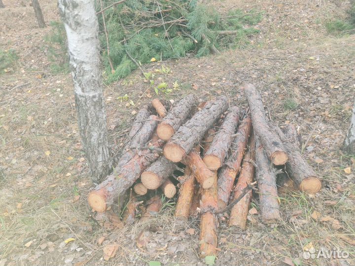 Дрова сосновые