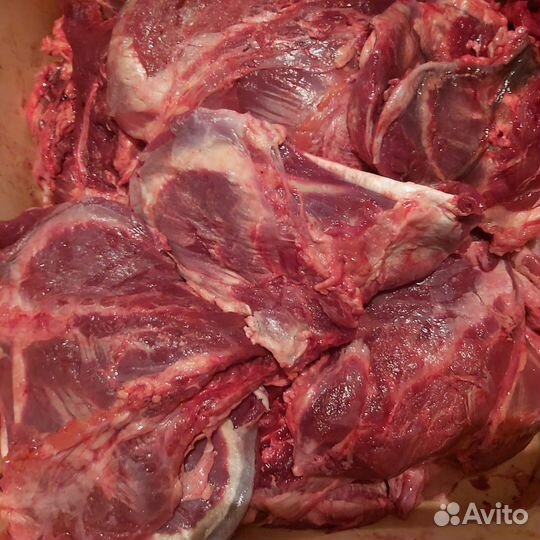 Мясо говядина