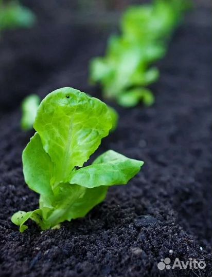 Чернозем высокого качества в мешках