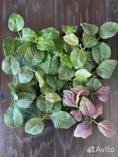 Декоративная зелень Икея