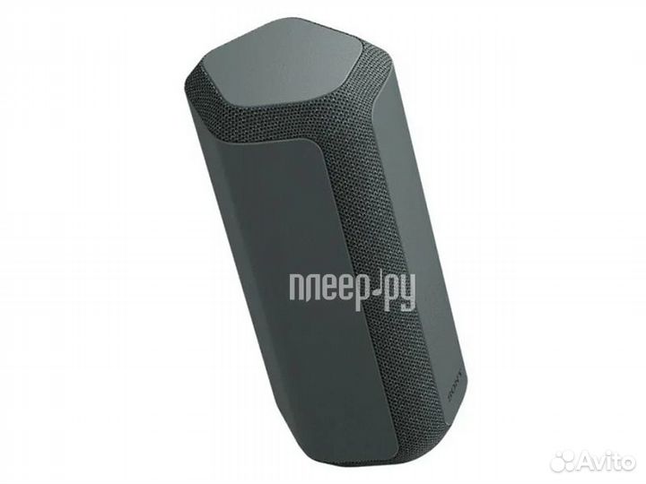 Sony SRS-XE300 Black