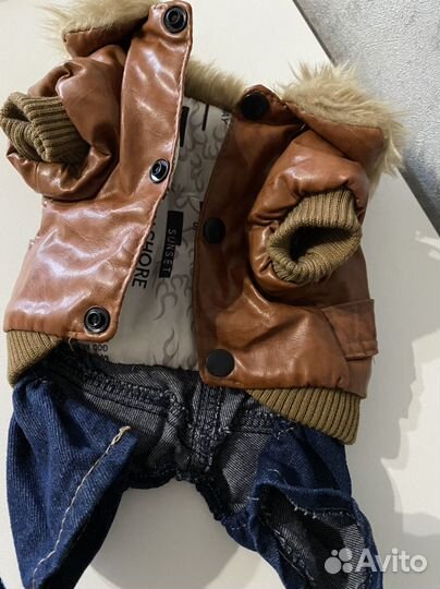 Одежда для маленьких собак s