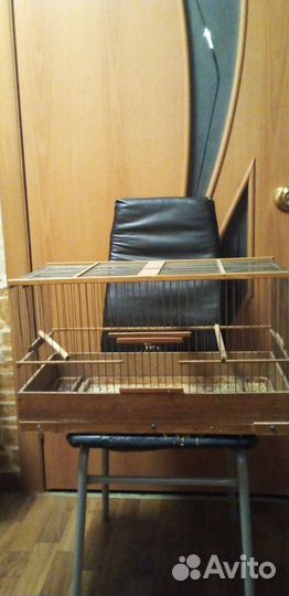 Канарейки 3 самца 2 самки с клеткой