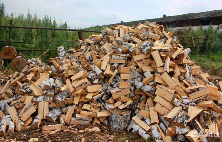 Дрова свежайшие