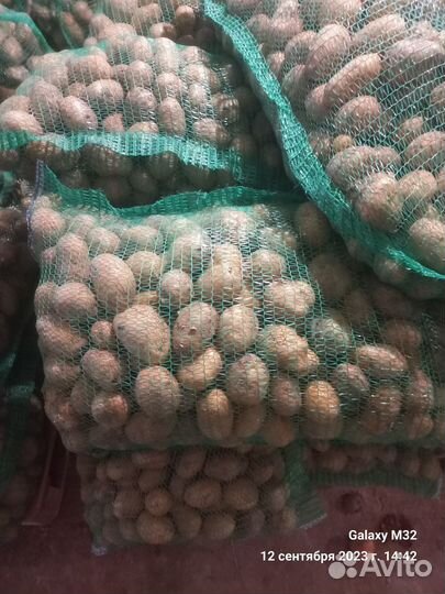 Продам средний картофель
