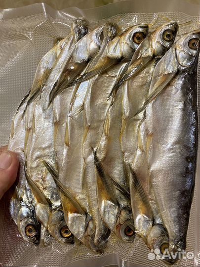 Рыба вяленая (чехонь)