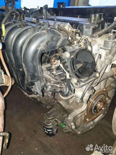 Двигатель на ford focus
