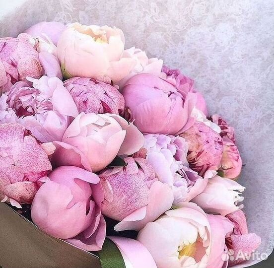 Пионы Розы Доставка