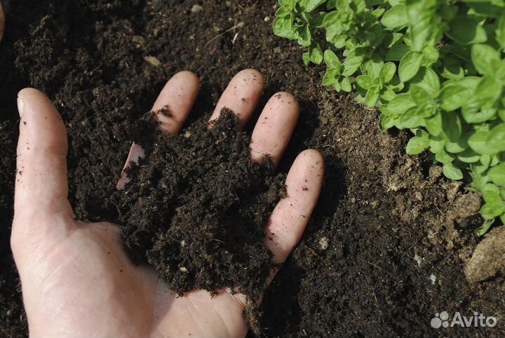 Плодородная земля, грунт быстрая доставка ЗИЛ