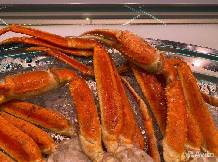 Клешни краба стригуна. Крупные