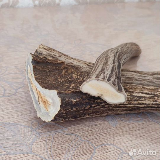 Лакомства для собак. Рога лося