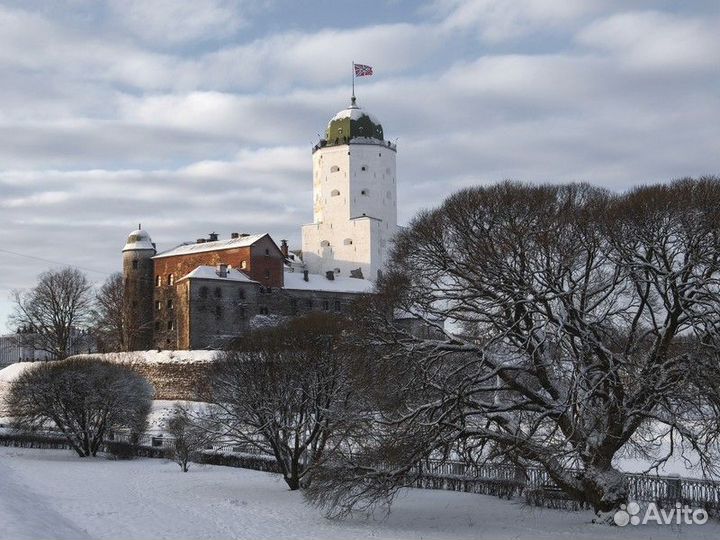 Экскурсия — Санкт-Петербург — изпетербурга вВыборг