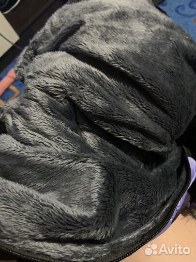 Одежда для собак