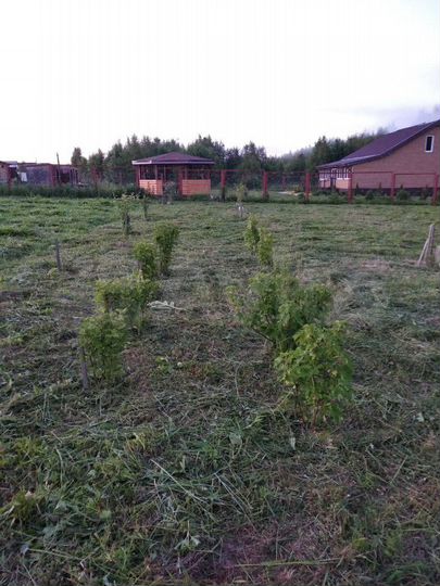 Участок 19 сот. (ИЖС)