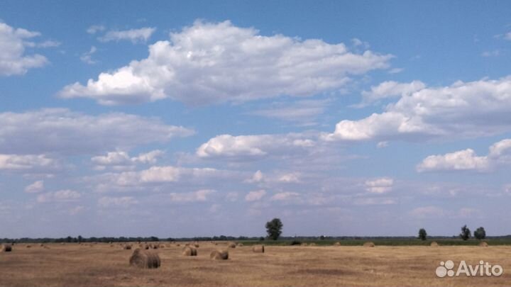 Сено рулонное