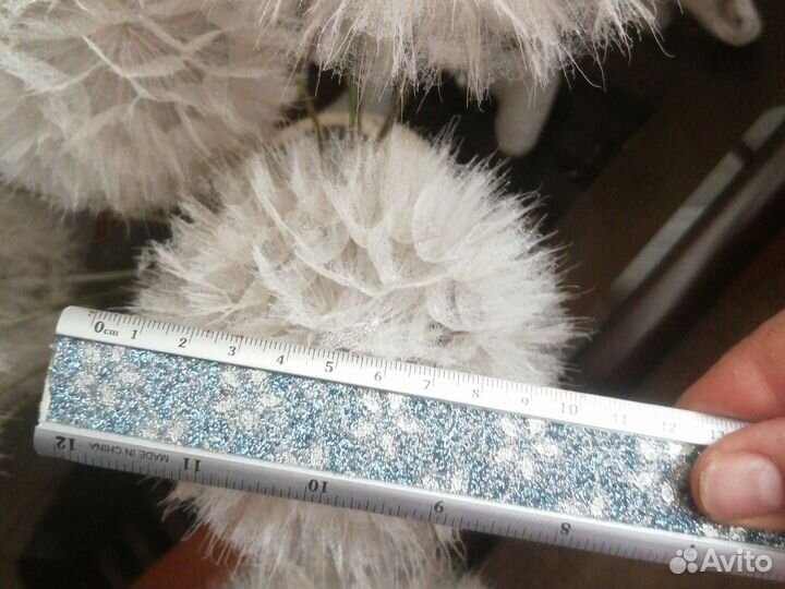 Цветы сухоцветы