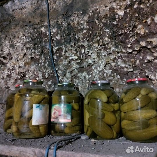 Огурцы, помидоры соленые