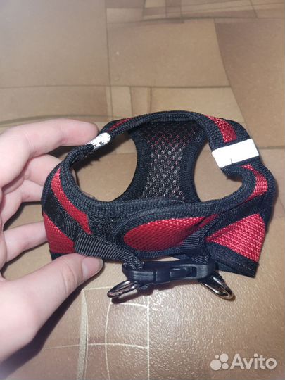 Шлейка для собаки