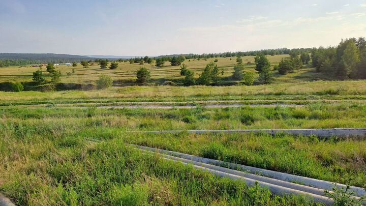 Участок 10 сот. (ИЖС)