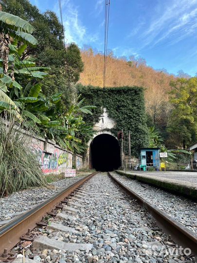 Тур в солнечную Абхазию