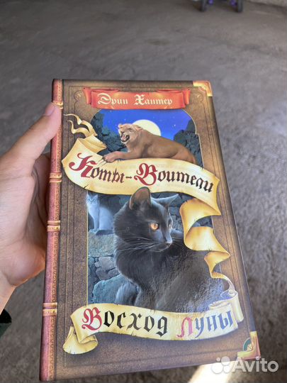 Коты воители восход луны книга
