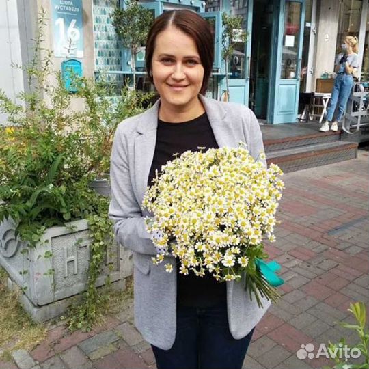 Ромашки для фотосессий