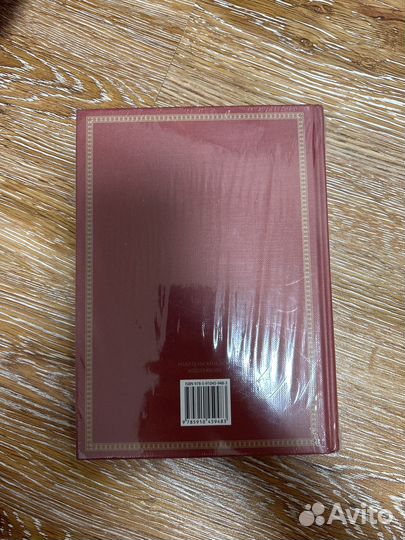 Книга. Впереди веков. Леонардо да Винчи