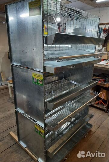 Клетка для несушек, бройлеров