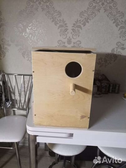 Пара корелл с клеткой, несутся