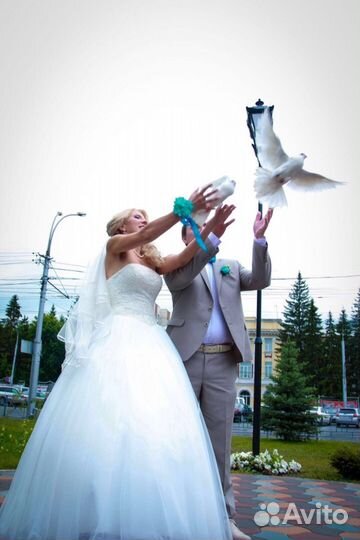 Голуби на свадьбу