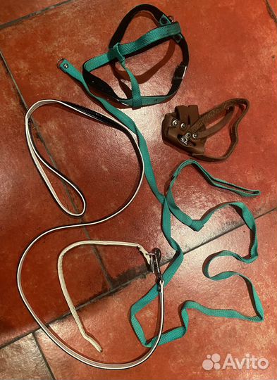 Ошейник, поводок, шлейка, намордник