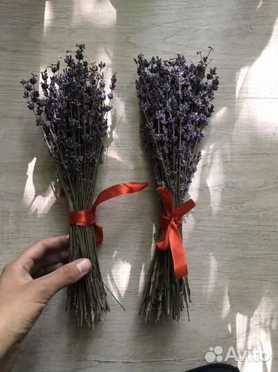 Лаванда сухоцвет