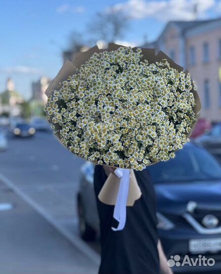 Ромашки, букет из ромашек, доставка цветов