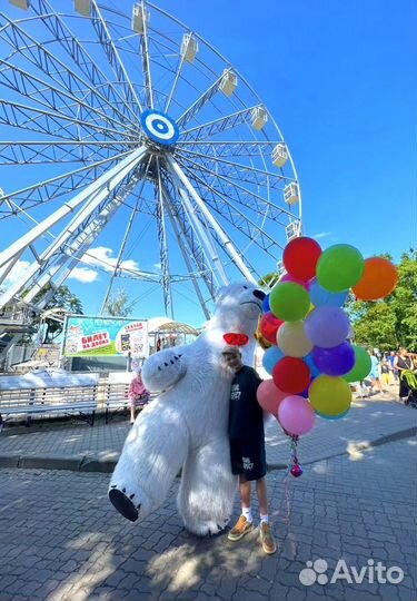 Аниматор Белый Мишка.Панда