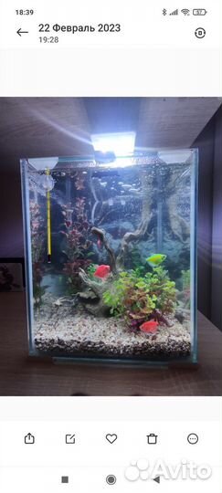Аквариум 19л