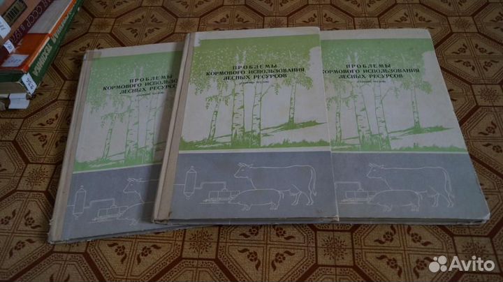 Проблемы кормового использования лесных ресурсов 1