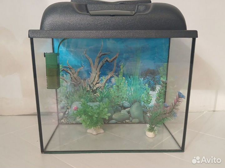 Аквариум