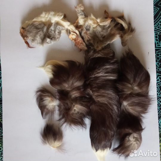 Лисья шкура