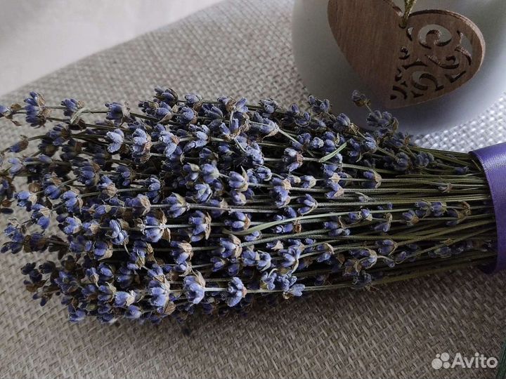 Лаванда цвета неба